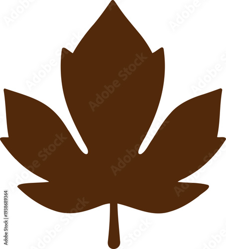 Isolated brown maple leaf cutout on white background for autumn designs