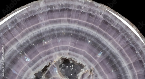 Close-up musgravite polished slice rare lilac-gray sheen with subtle asterism hints