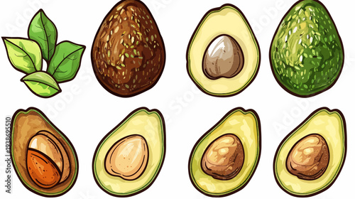 A vibrant illustration showcasing various stages of an avocado, including leaves and sliced halves
