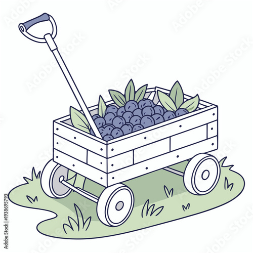 Rustic wooden cart filled with ripe blueberries and leaves with garden spade for harvest