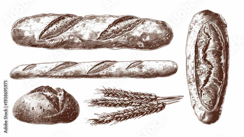 Hand-drawn style illustration of various breads and wheat on white background