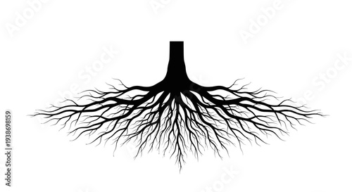 tree root system, black silhouette