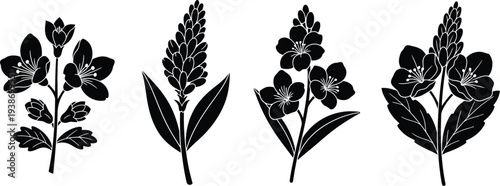 Four distinct botanical silhouettes showcasing various flowering plants and spiky blooms rendered in solid black.