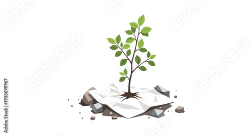 A small green sapling with multiple leaves grows from a crumpled white paper, surrounded by several grey rocks on a pristine white background.