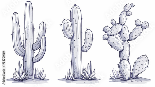 Three stylized grayscale illustrations of cacti, each with distinctive shapes, placed on a white background