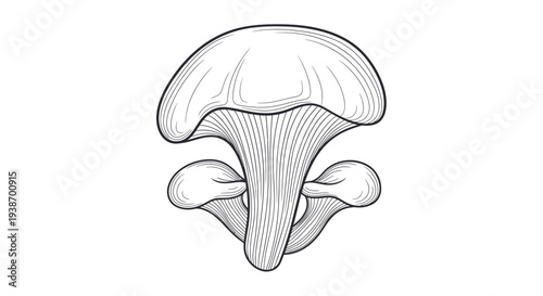 Isolated Chanterelle Mushroom Illustration - Black and White Line Art