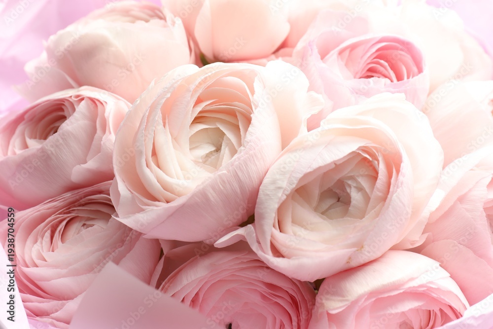 Fototapeta premium Bouquet of beautiful ranunculus flowers as background, closeup