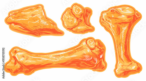 Colorful illustrated vector image of chicken wing pieces. Isolated elements on white