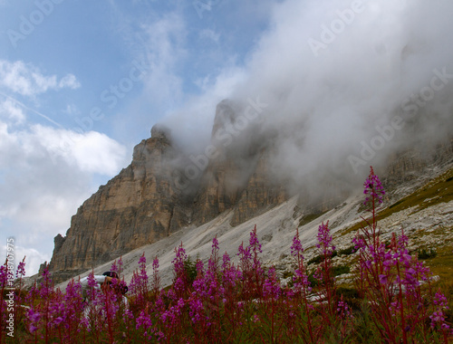 Summer landscapes of the Dolomites. View of the Dolomite peaks shrouded in clouds, flowers in the foreground. Travel and tourism concept.
