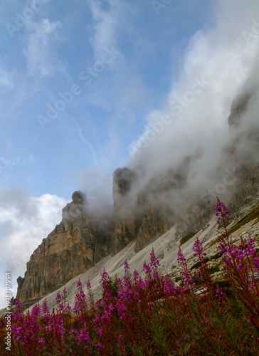 Landscapes of the Dolomites in summer.
View of the Dolomite peaks, covered in clouds, flowers in the foreground. Concept of travel, tourism.