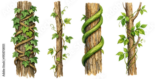 A charming watercolor collection of tree trunks wrapped with green climbing vines and ivy leaves for botanical forest illustrations and nature design.