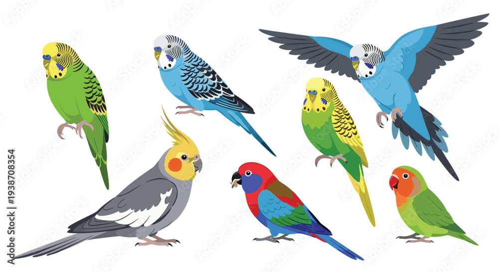Obraz premium Seven distinct, vibrantly colored pet birds, including budgerigars, a cockatiel, and lovebirds, are dynamically arranged on a pristine white background.
