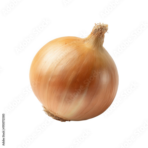 Wallpaper Mural Yellow onion bulb with brown stem end isolated on transparent background Torontodigital.ca