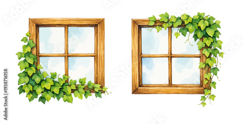 A charming watercolor collection of wooden window frames with climbing ivy vines and green leaves for rustic botanical illustrations and home decor design.