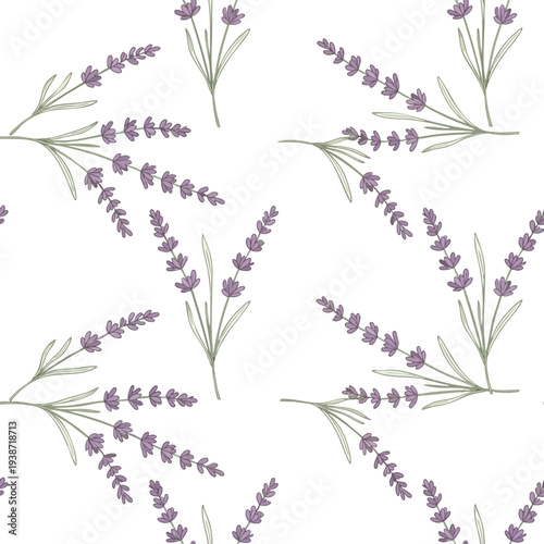 Lavender Flowers Pattern on White Background