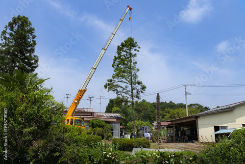特殊伐採　クレーンで運ばれる伐採樹木