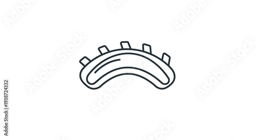 Spinal Cord Anatomy Icon Vector Illustration