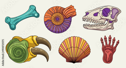 A colorful vector graphic illustration of six prehistoric fossils and artifacts