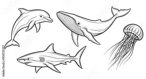 A minimalist vector illustration of marine animals including a dolphin, whale, shark, and jellyfish in a simple line art style