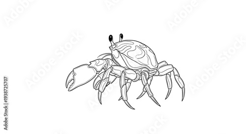 A minimalist vector illustration of a crab in a simple line art style