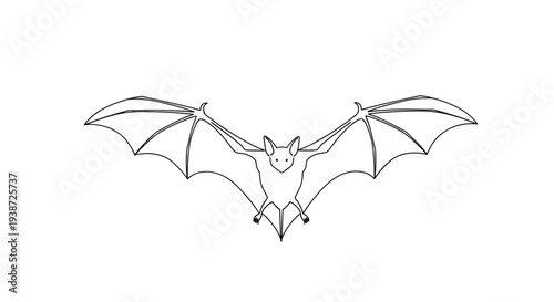 A minimalist vector illustration of a bat in flight with outstretched wings on a transparent background