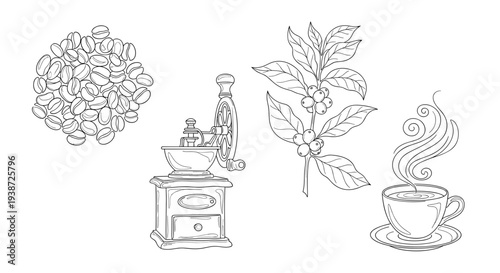 A minimalist vector illustration of coffee related items and coffee beans