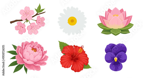 A colorful vector graphic illustration of various flowers including cherry blossoms, lotus, peony, hibiscus, and violet blooms