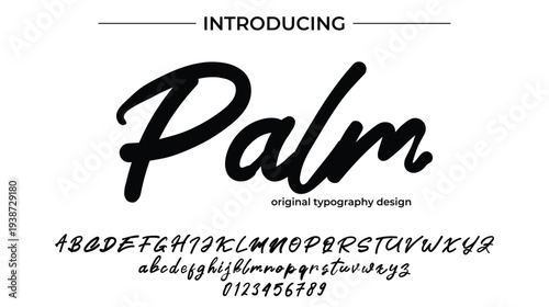 Palm - Elegant Script Font for Smooth Handwritten Design and Creative Typography