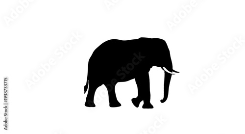 Black Elephant Silhouette Walking Profile View.