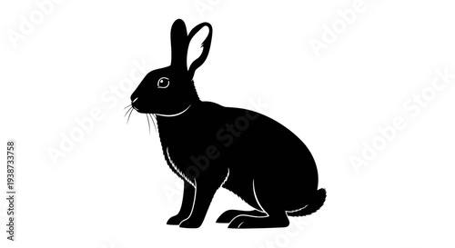 Black Rabbit Silhouette Illustration.