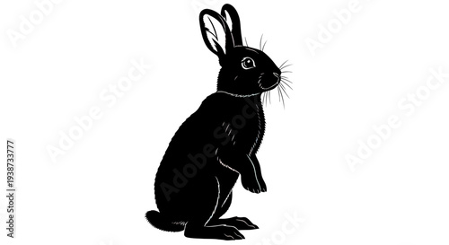 Black Rabbit Silhouette Standing on Hind Legs.