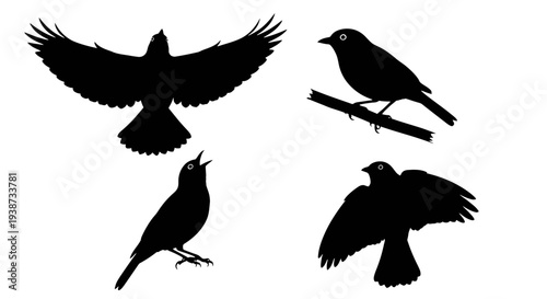 Black Silhouette Birds in Various Poses 1.