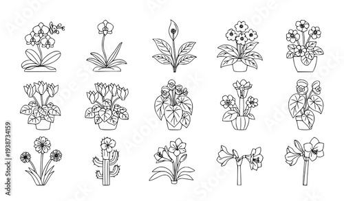 A set of black and white line art illustrations of various flowers and plants
