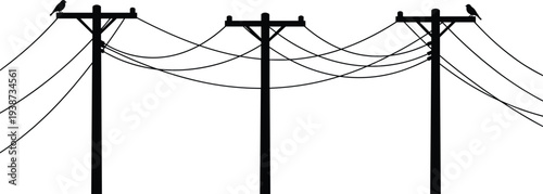 Silhouette illustration of three utility poles with multiple power lines and perched birds, combining industrial infrastructure with natural elements, ideal for urban, environmental, 