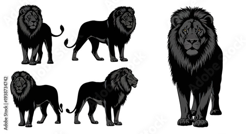 Lion Silhouette Collection Various Poses 1.