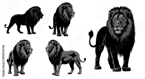 Lion Silhouette Collection Various Poses 2.