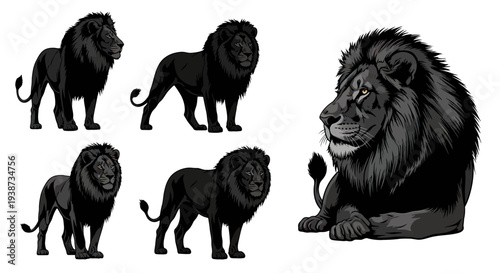 Lion Silhouette Collection Various Poses.