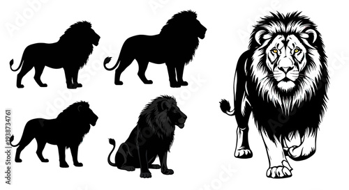 Lion Silhouettes and Detailed Illustration.