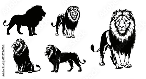 Lion Silhouettes and Detailed Illustration 1.