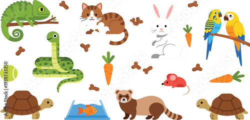 Cute Exotic and Domestic Animals Vector Set with Reptiles Birds Mammals and Pet Illustrationsv
