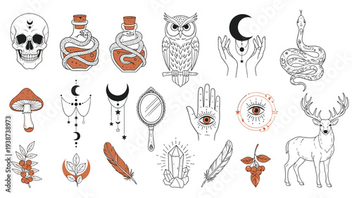 Extensive collection of intricate mystical and occult elements in a detailed line art style with earthy color accents.
