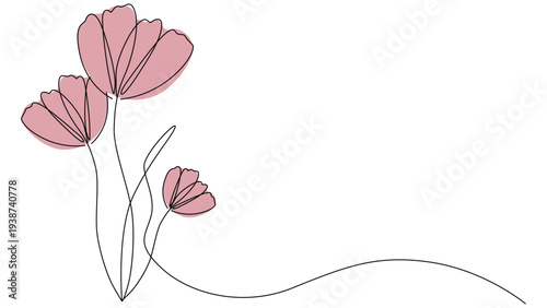 Pink tulip flowers blooming spring garden minimalist vector illustration