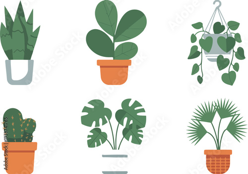 Minimal indoor houseplant collection with snake plant monstera cactus palm and fiddle leaf fig vector illustration