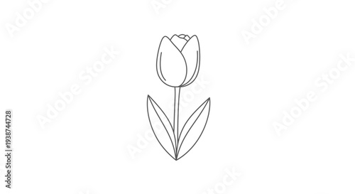 Simple Line Drawing of a Tulip Flower with Leaves on White Background