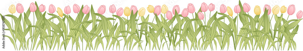 Obraz premium Seamless floral border with delicate pastel pink and yellow tulips. Spring decorative pattern ideal for greeting cards, invitations, packaging, textiles and seasonal design.
