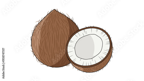 Detailed illustration of a whole coconut and a perfectly halved coconut, revealing its white flesh, symbolizing tropical freshness.