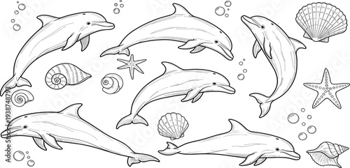 Hand Drawn Dolphin and Seashell Line Art Vector Set Featuring Marine Ocean Wildlife Outline Illustrations for Coloring Pages Tattoo and Design Projects