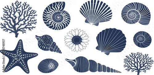 Hand Drawn Marine Elements Vector Set Featuring Seashells, Starfish, Coral, Nautilus Shells and Ocean Inspired Decorative Natural Illustrations