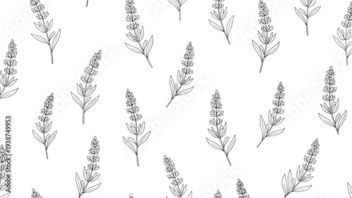 Gentle line art seamless pattern showcasing numerous elegant lavender sprigs with slender leaves and delicate blossoms, creating a calming botanical design.