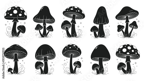 Diverse collection of ten black silhouette mushroom illustrations, each adorned with subtle magical and natural decorative elements.